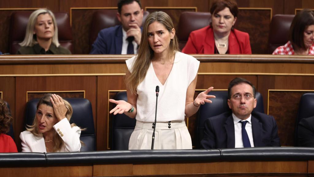 Sara Aagesen, vicepresidenta de Transición Ecológica, este miércoles durante la sesión de control al Gobierno en el Congreso.