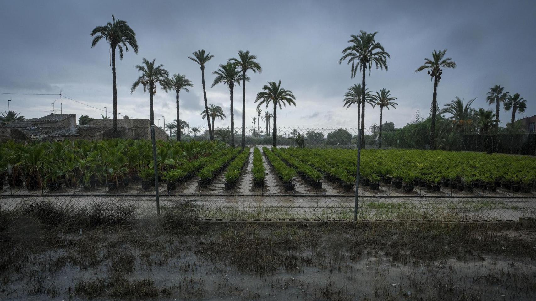 Fuerte tormenta registrada este juevse en La Foia, en Elche.
