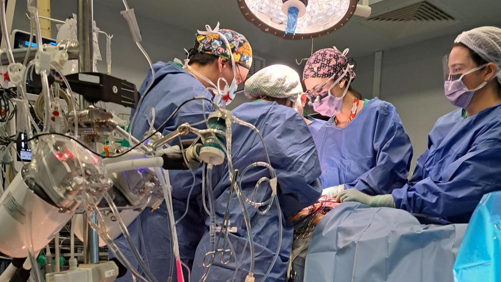 Una operación de trasplante en el hospital Doctor Balmis de Alicante.