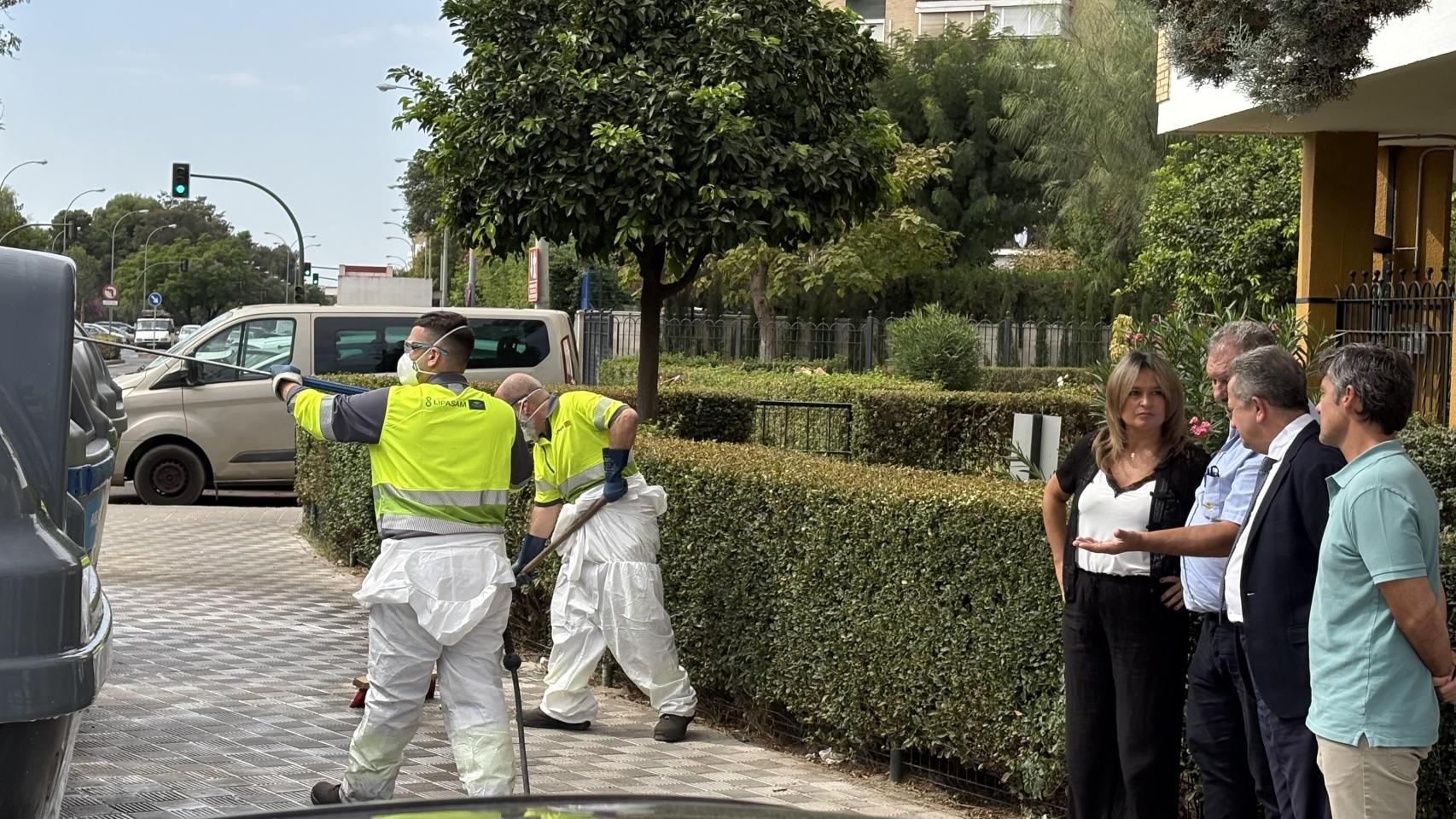 Operarios de Lipasam.