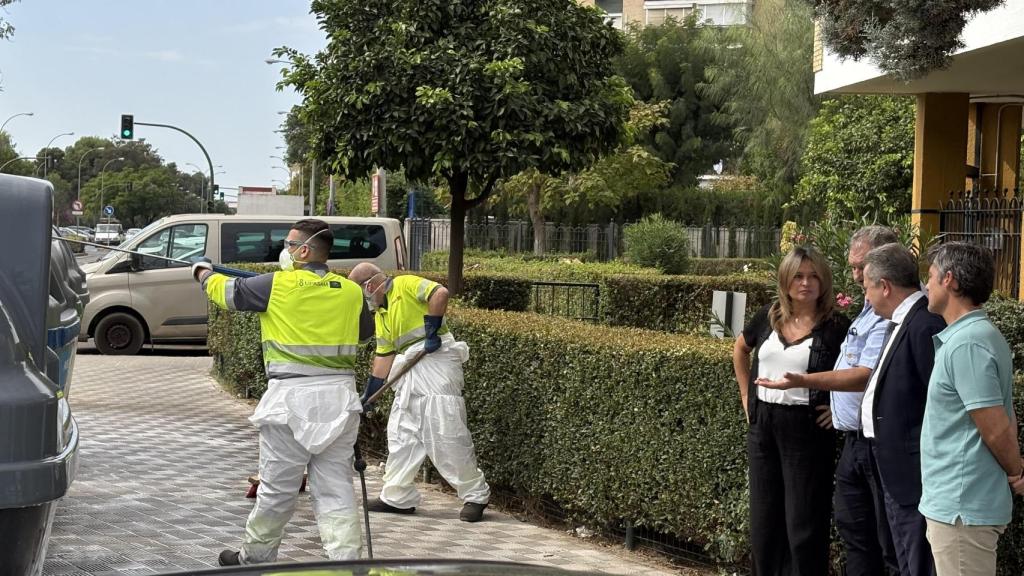 Operarios de Lipasam.