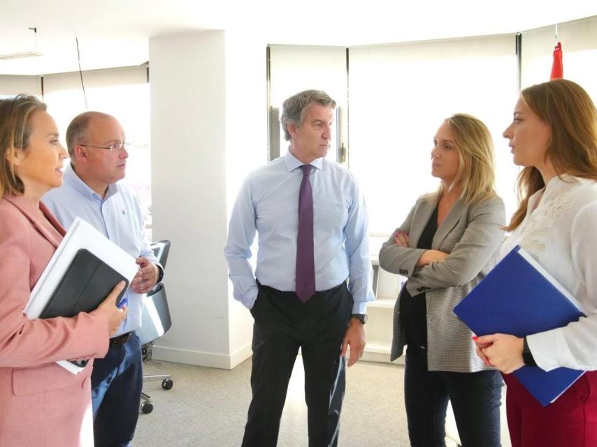 Alberto Núñez Feijóo, líder del PP, entre Cuca Gamarra, Miguel Tellado, Alma Ezcurra y Ester Muñoz, en su despacho de Génova.