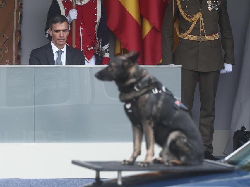 Sánchez observa el desfile este domingo