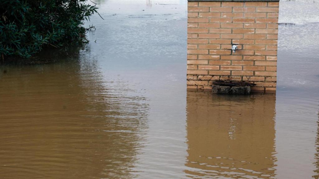 Vista de una fuente en una zona inundada en Almussafes el pasado sábado.