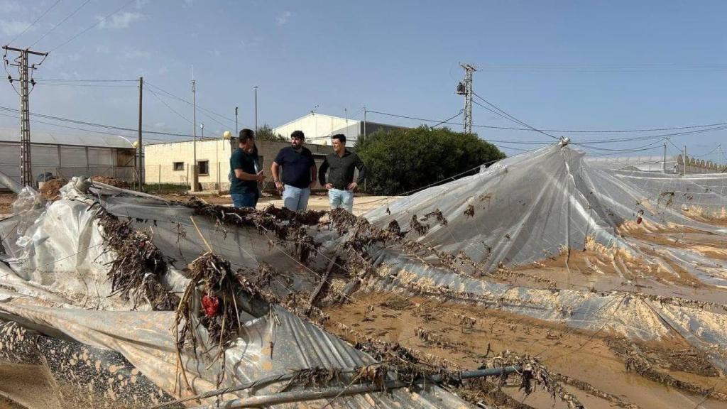 Un productor agrícola de El Mirador, este domingo, mostrando los daños que la dana le ha causado al presidente de la Región de Murcia, Fernando López Miras, y el alcalde de San Javier, José Miguel Luengo.
