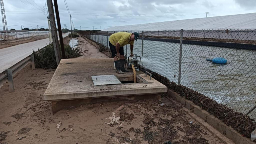 Un técnico de de la Comunidad de Regantes del Campo de Cartagena, este lunes, desaguando una arqueta.