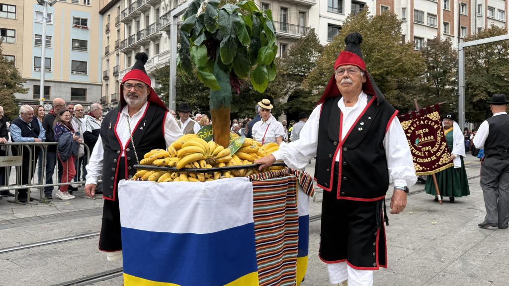 Plátanos de Canarias en la Ofrenda.