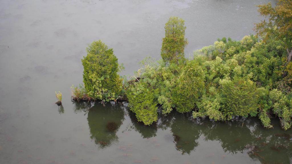 Vista aérea de los nuevos ecosistemas en el Báltico.