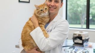 Un veterinario con un gato.