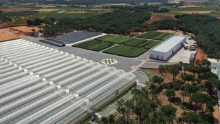 Vista panorámica del área de Acemi II en Villanueva de la Jara, Cuenca.
