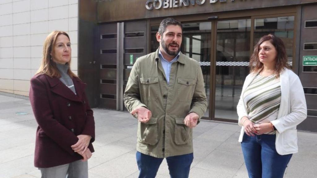 Alejandro Nolasco, portavoz de Vox.