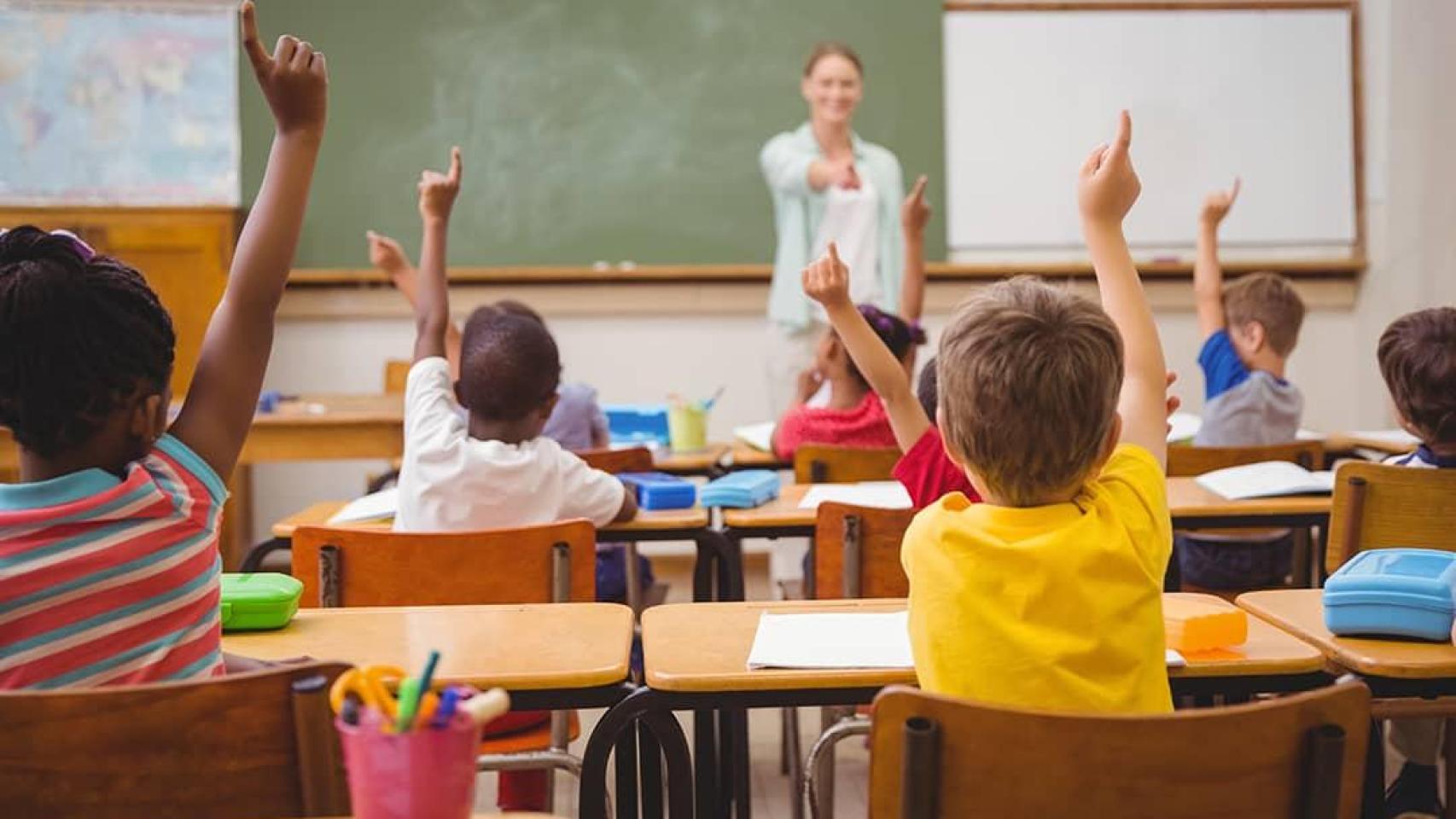 Educación para un mundo más habitable: la función docente dentro y fuera del aula