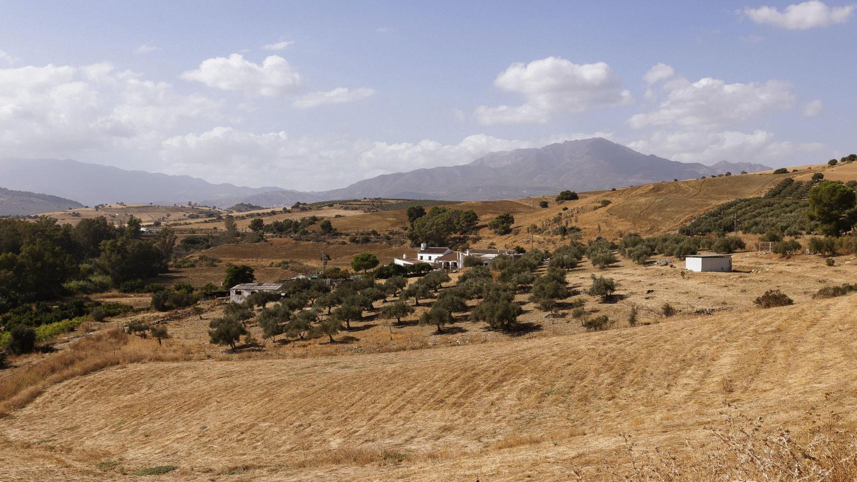 Zona donde fueron localizados.