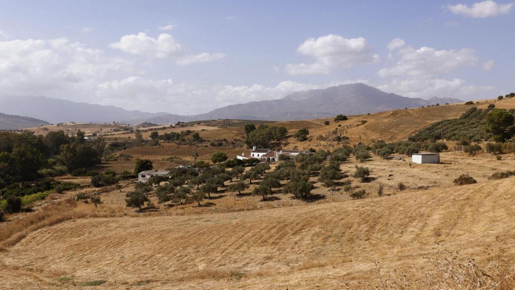 Zona donde fueron localizados.