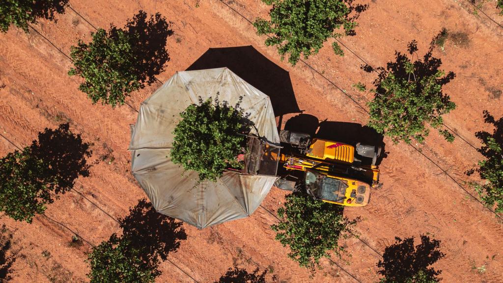 ENCLAVE ODS pudo presenciar la recogida de la cosecha de Agróptimum.