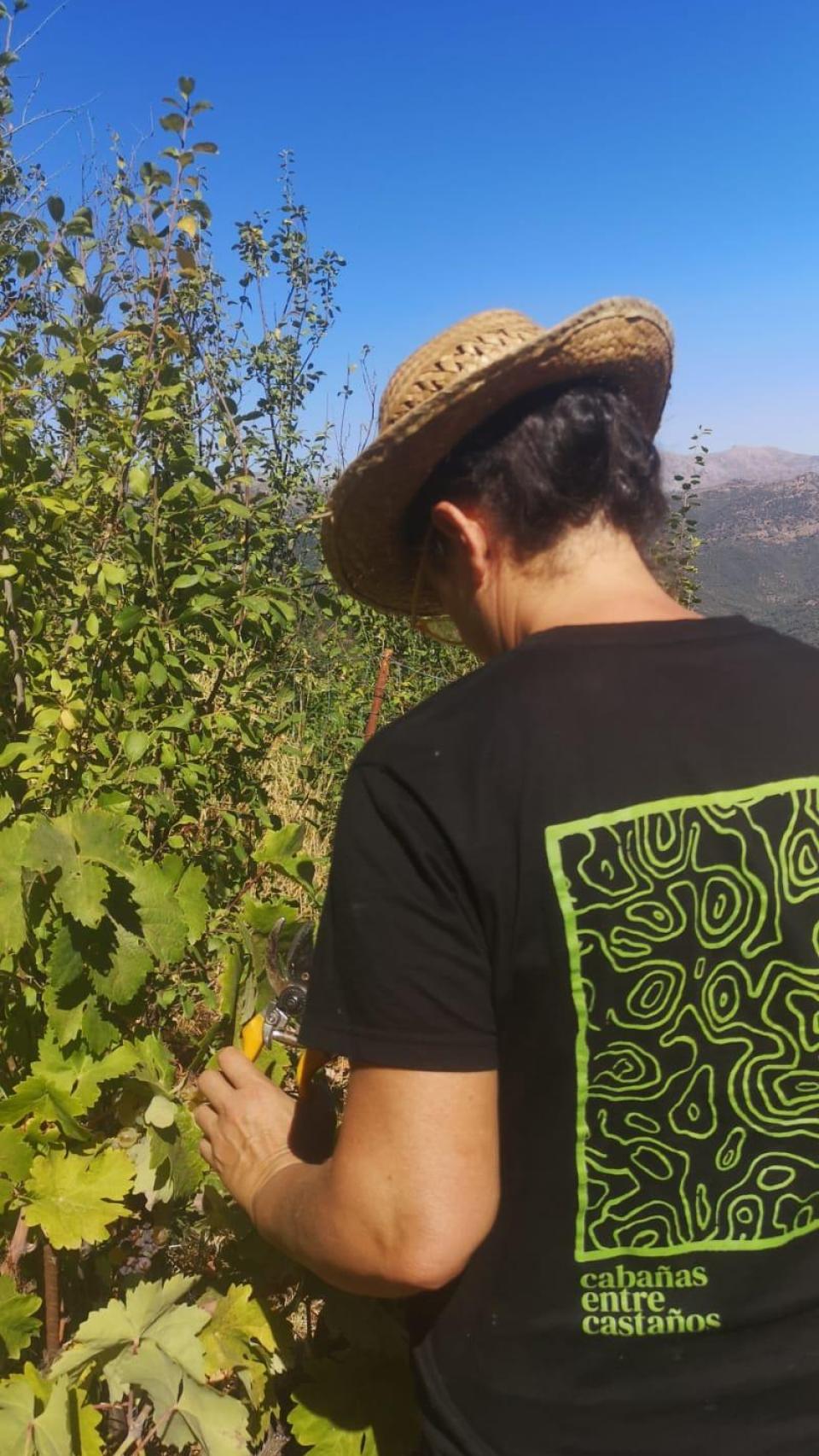 Fina trabaja en su finca.