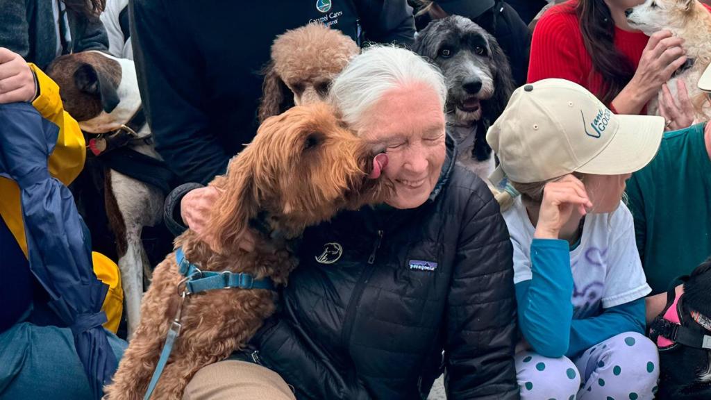 Jane Goodall con un perro el día de su 90 cumpleaños en la playa del Carmen en California.