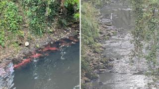 Vertidos en el río Sar.