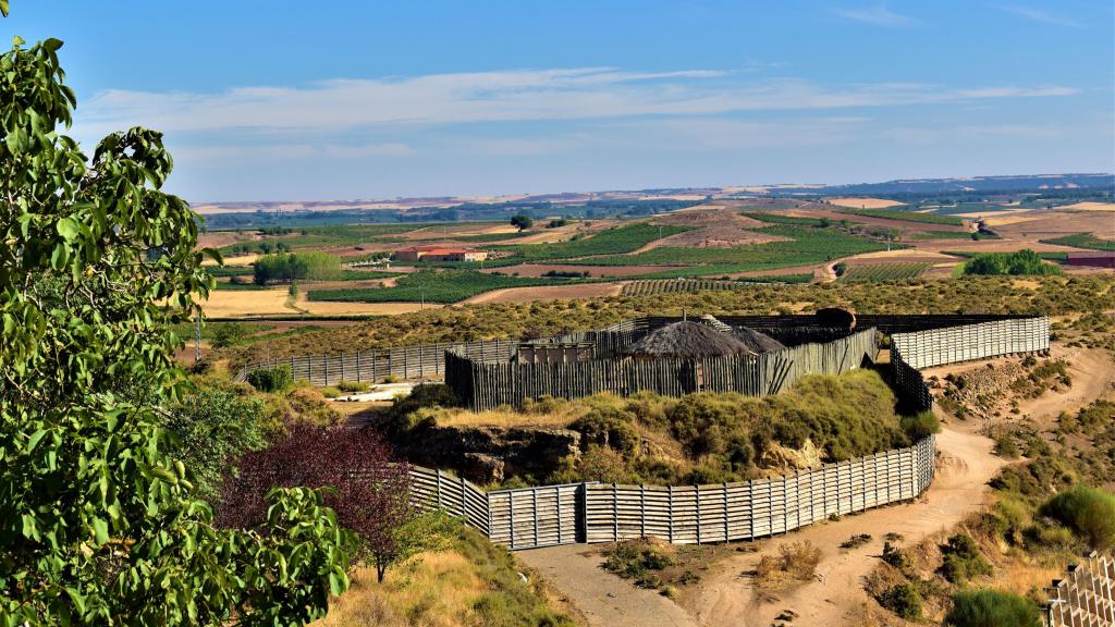 Territorio Vacceo-Roa de Duero.