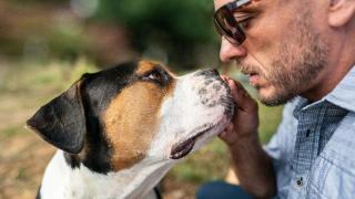 Un perro con un hombre.
