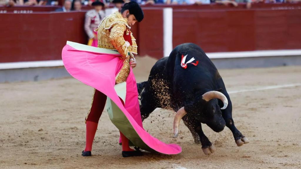 Morante ejecuta una media verónica a un toro de Garcigrande el pasado mayo en Las Ventas.
