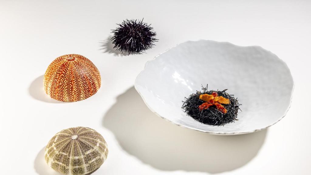 Espinas, erizos y arroz albufera, en Octavo.