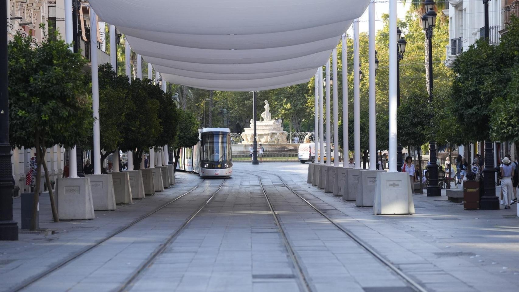Los toldos que cumbren parte de la avenida de la Constitución.