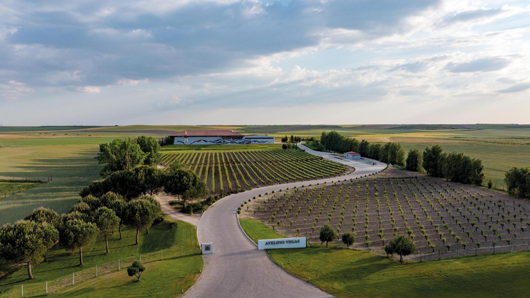 Tres generaciones brindado por la excelencia: Avelino Vargas cumple 75 años