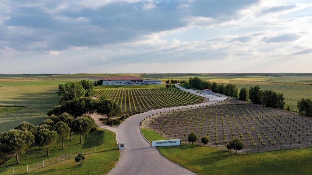 Tres generaciones brindado por la excelencia: Avelino Vargas cumple 75 años