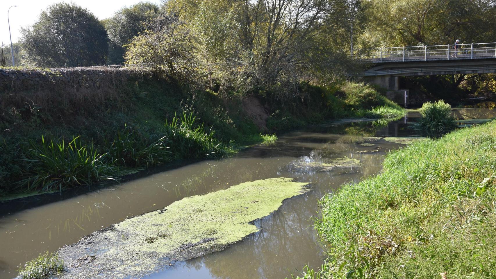Ames (A Coruña) presenta una denuncia ante la Fiscalía de Medio Ambiente por un vertido en el río Sar