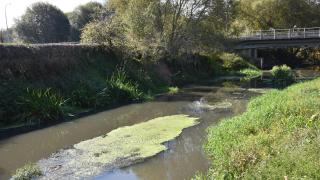 Ames (A Coruña) presenta una denuncia ante la Fiscalía de Medio Ambiente por un vertido en el río Sar