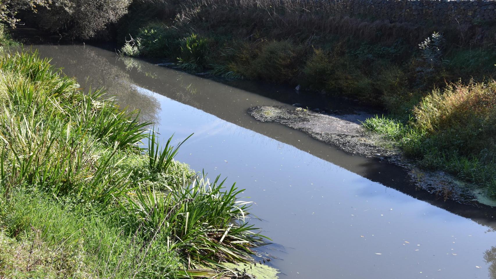 El vertido en el río Sar a su paso por Ames