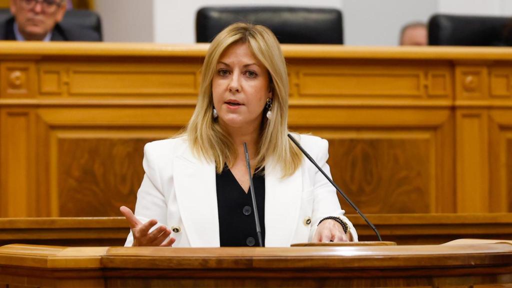 Ana Isabel Abengózar, portavoz del PSOE en las Cortes. Foto: Javier Longobardo.