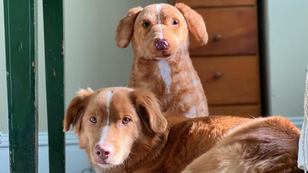 Indie y su figurante de peluche.