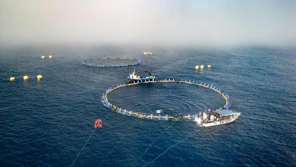 Piscinas de Balfegó