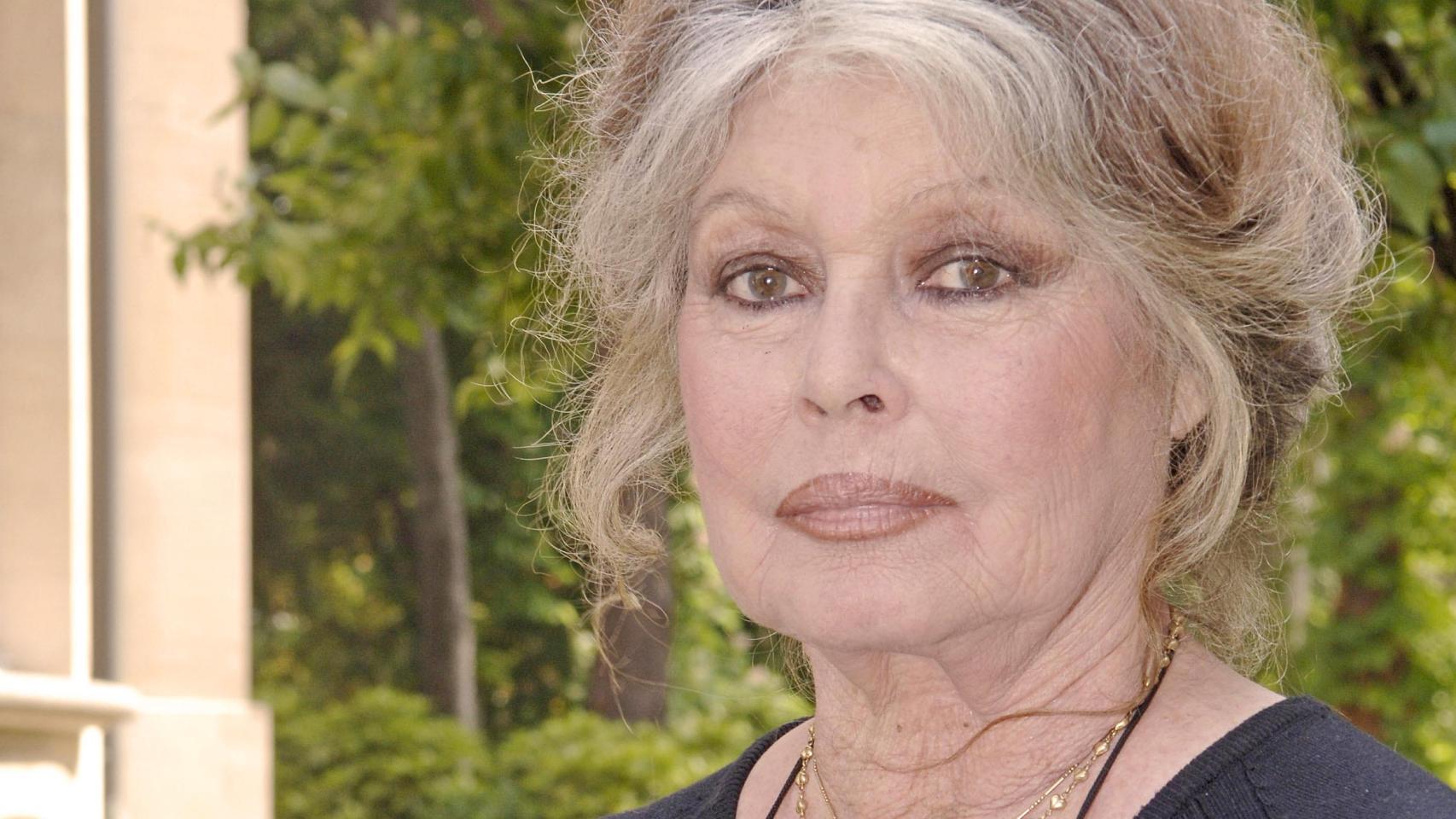 Brigitte Bardot en una fotografía tomada en 2006 en París.