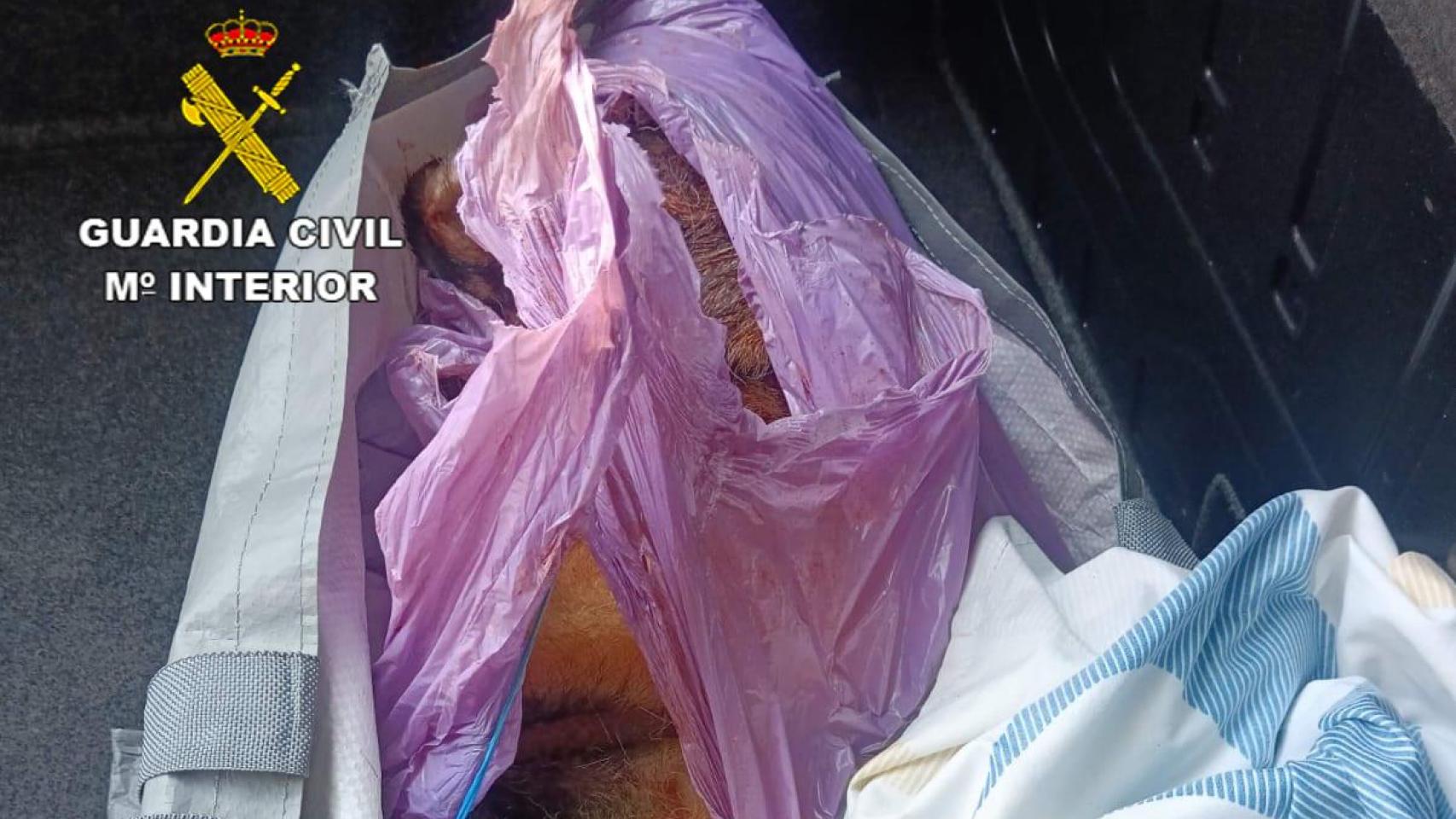 Foto: Guardia Civil.