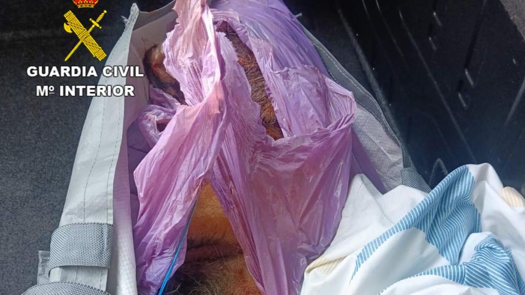 Foto: Guardia Civil.