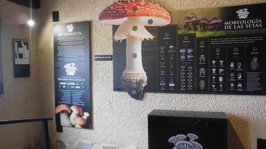 Museo micológico de Cardenete.