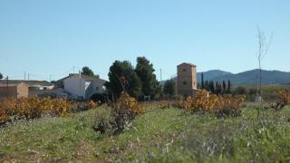 El pueblo vinícola más encantador de Alicante, según la IA: Combina paisaje, vino y autenticidad