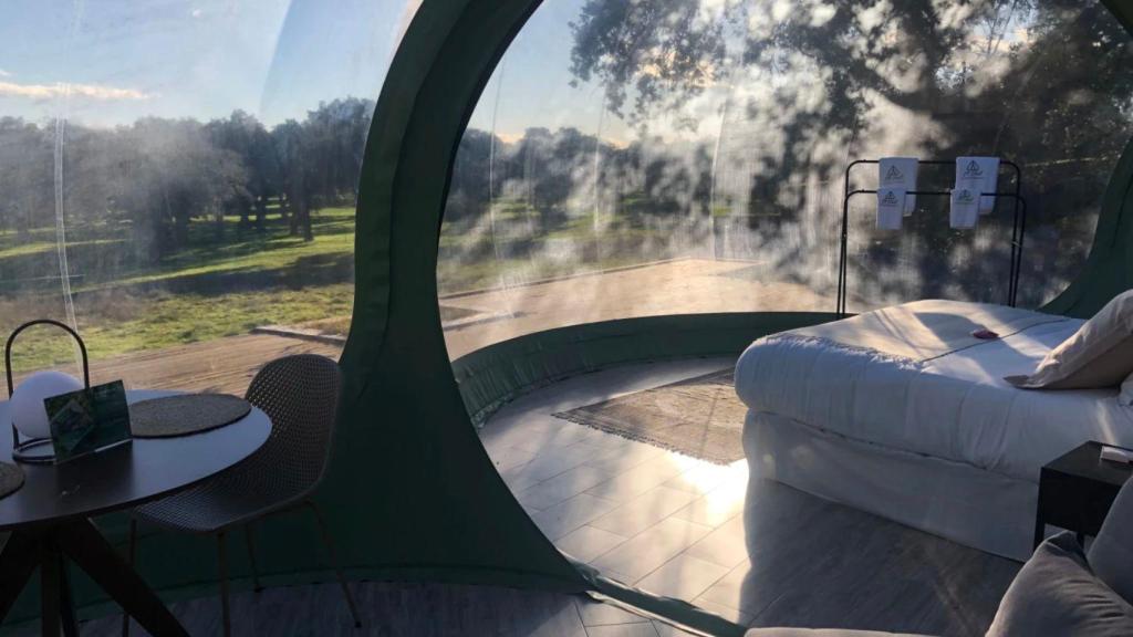 Interior de las burbujas.