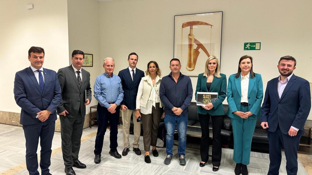 Carmelo Sevilla (camisa de color azul) y Ricardo Bravo (camisa de color azul marino) tras la Comparecencia en el Congreso de los Diputados junto a laPresidenta de la Comisión (en el centro)