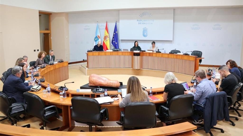 Comisión 8ª, Pesca e Marisqueo del Parlamento de Galicia