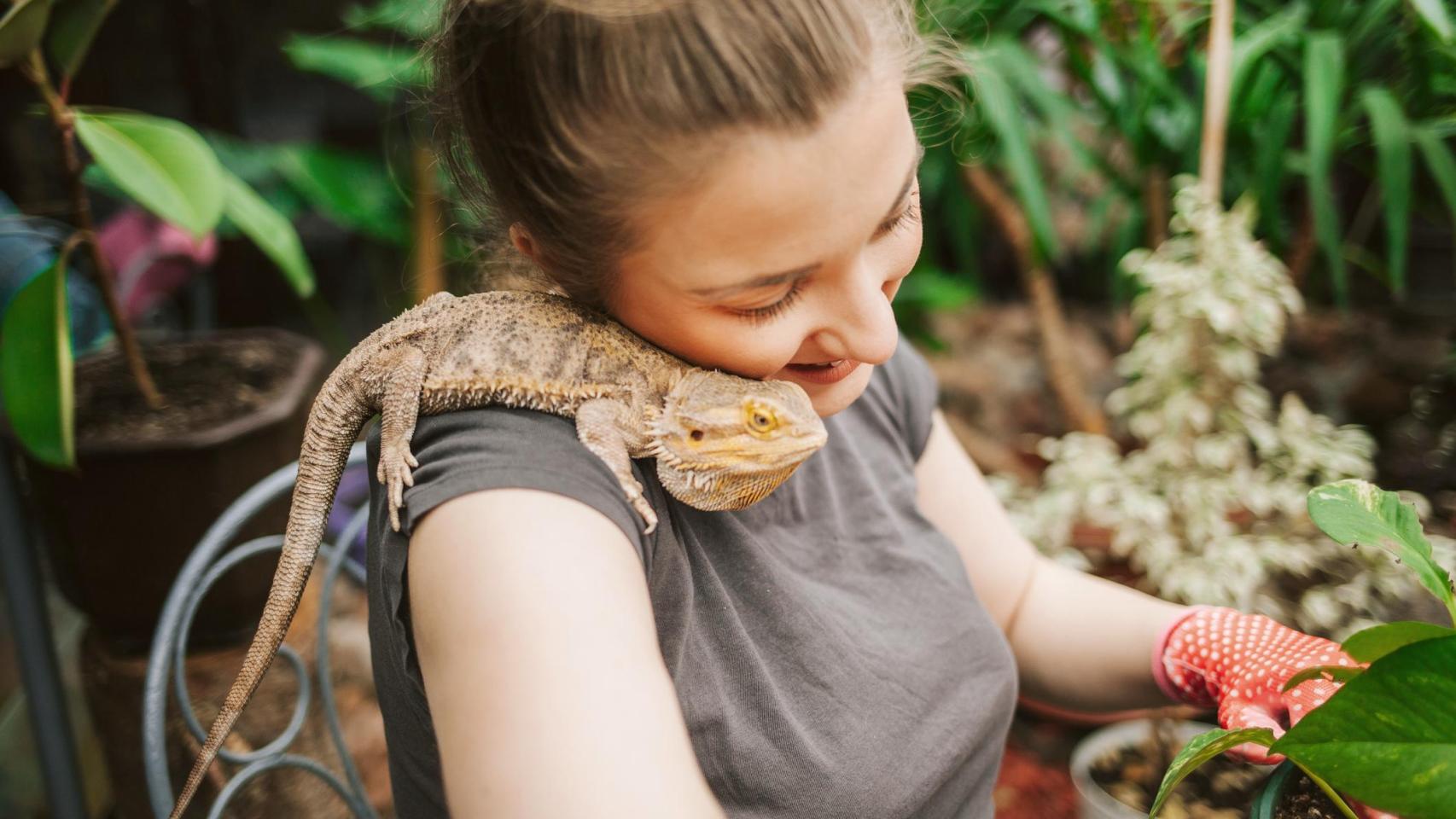 Una chica con un dragón barbudo.