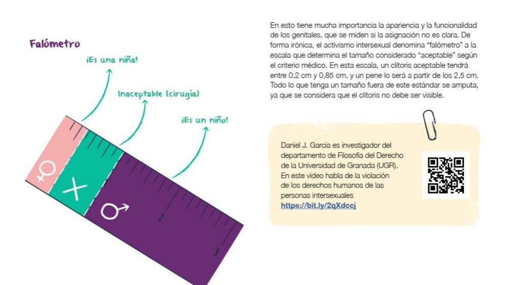 Viñeta de la guía canaria.