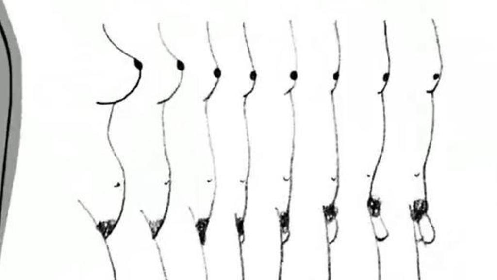 Fotograma del vídeo.