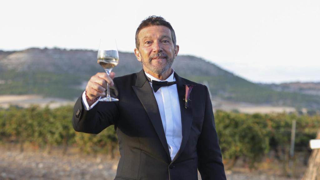 Antonio Banderas brinda con la prensa el día de la boda de su hija, Stella del Carmen, en la Ribera del Duero.