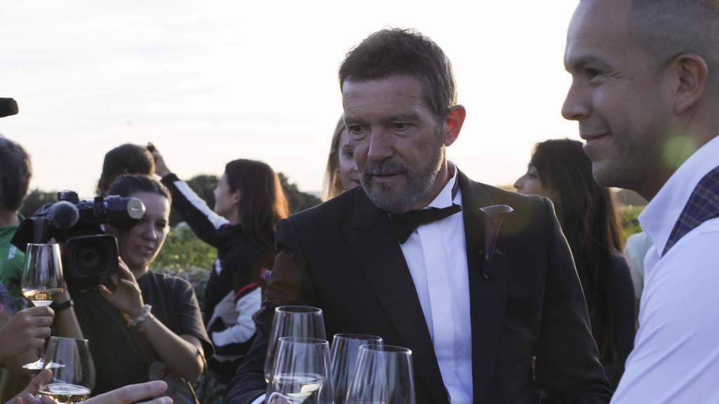 Antonio Banderas brinda con la prensa tras la boda de su hija, Stella del Carmen.
