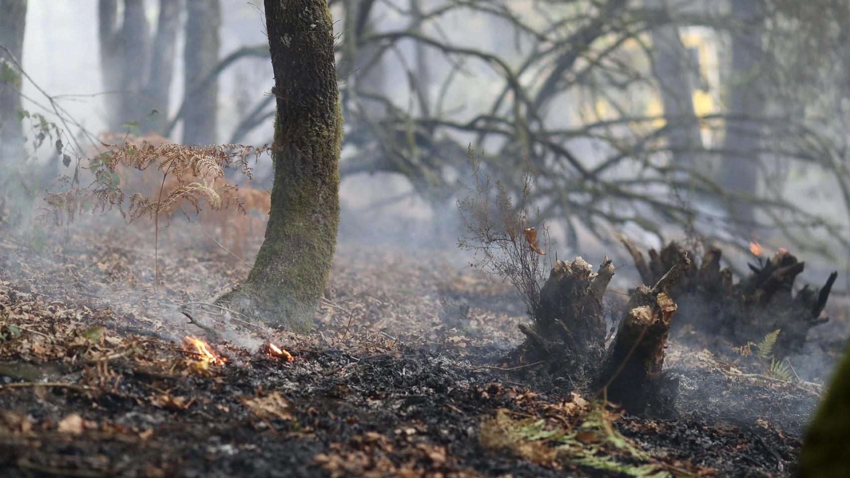 Zonas calcinadas por el incendio de Pontón durante la realización de labores de extinción del incendio de Pantón, a 22 de septiembre de 2025, en Pantón, Lugo (España)