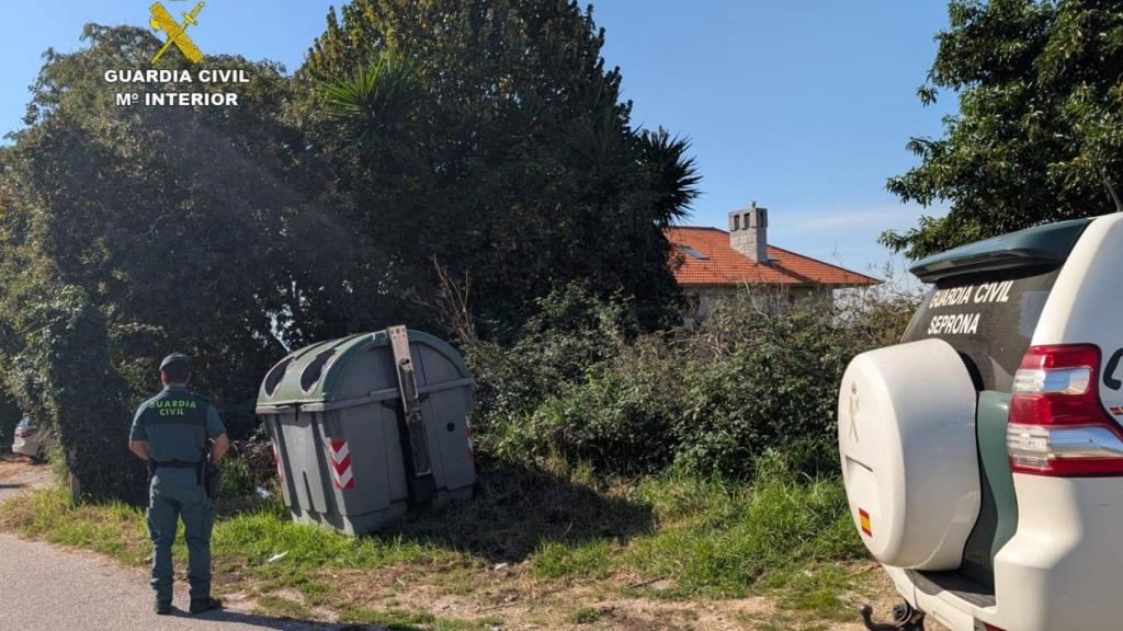 Investigan a una vecina de Cangas (Pontevedra) por maltrato animal, tras la aparición de dos cachorros de gato en un contenedor de basura